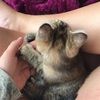 sanannah132